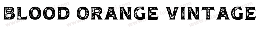 Blood Orange Vintage Serif字体转换